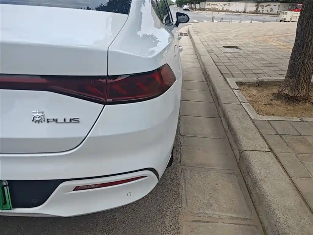 BYD Qin PLUS 2023 Champion Edition DM-i 120KM Leading Type фото 8