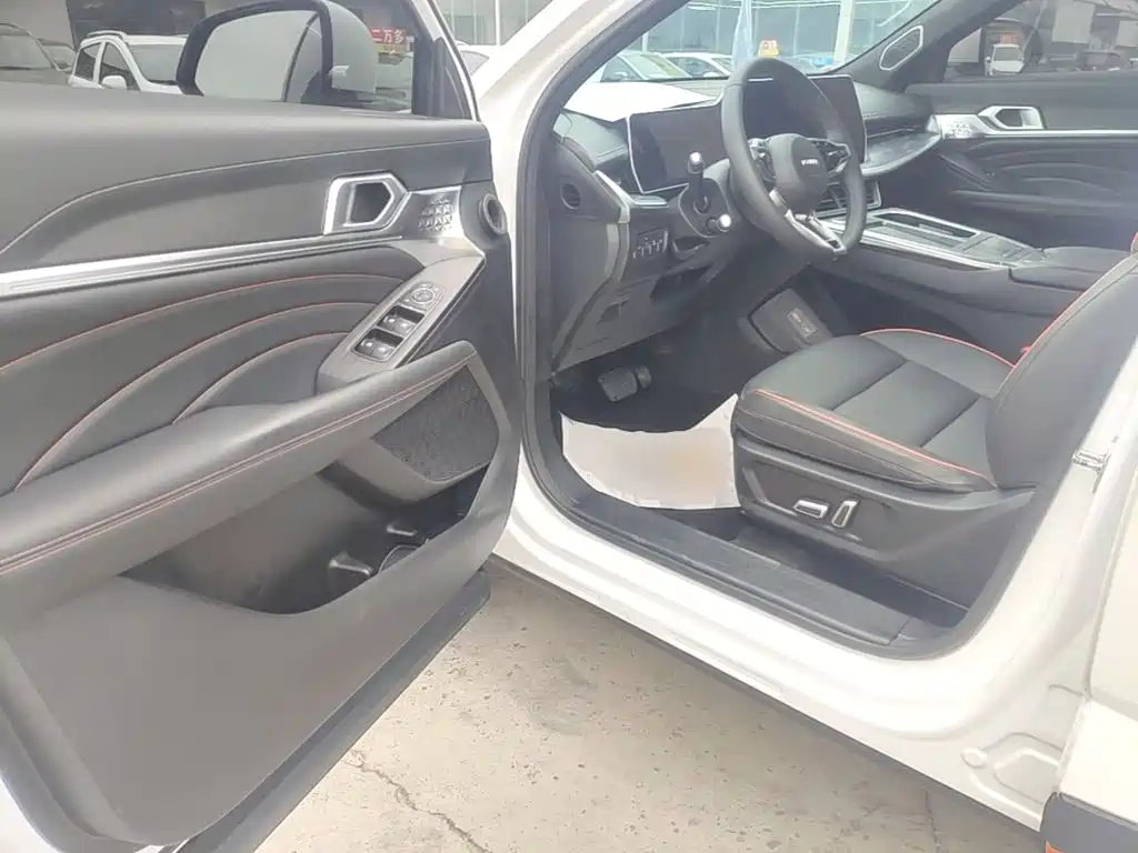 Haval Shenshou 2023 2023 1.5T Smart Enjoy Edition