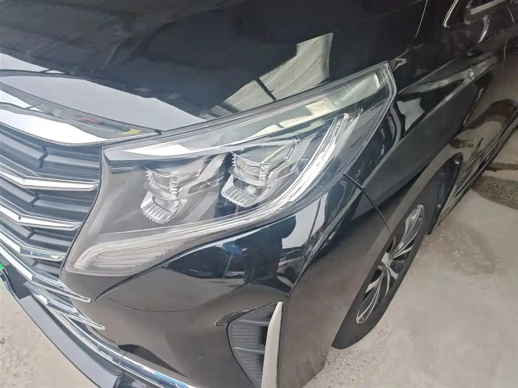 GAC Trumpchi Trumpchi M8 2023 Leading Series 390T Premium Edition фото 18