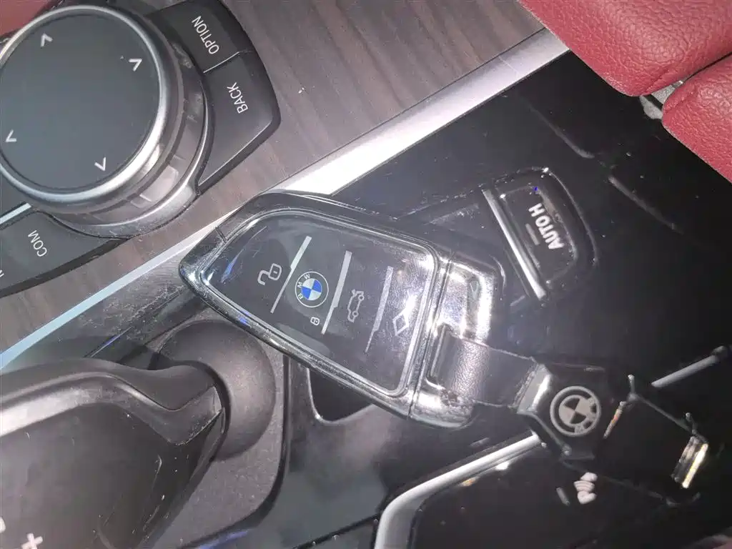 BMW 5 Series 2021 530Li Leading Luxury Package фото 9