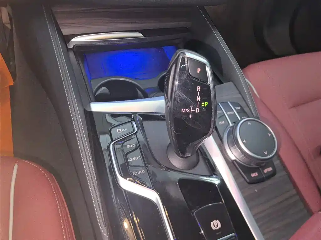 BMW 5 Series 2021 530Li Leading Luxury Package фото 14