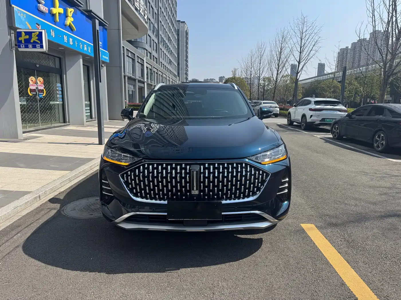 WEI PAI WEI BRAND MOCHA