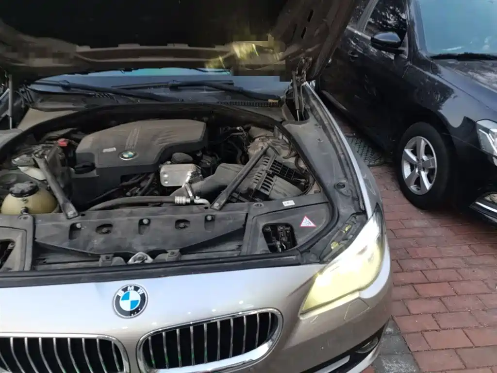 BMW 5 Series (Import) 2014 520i Classic фото 22