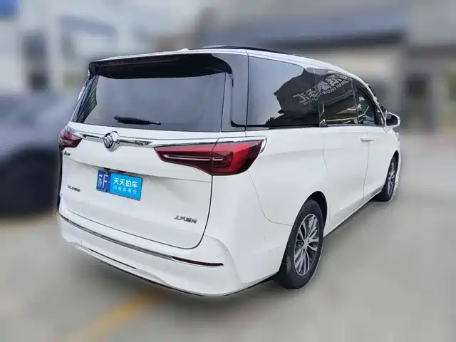 Buick GL8 2021 ES Landlord 653T Premium — фото 5