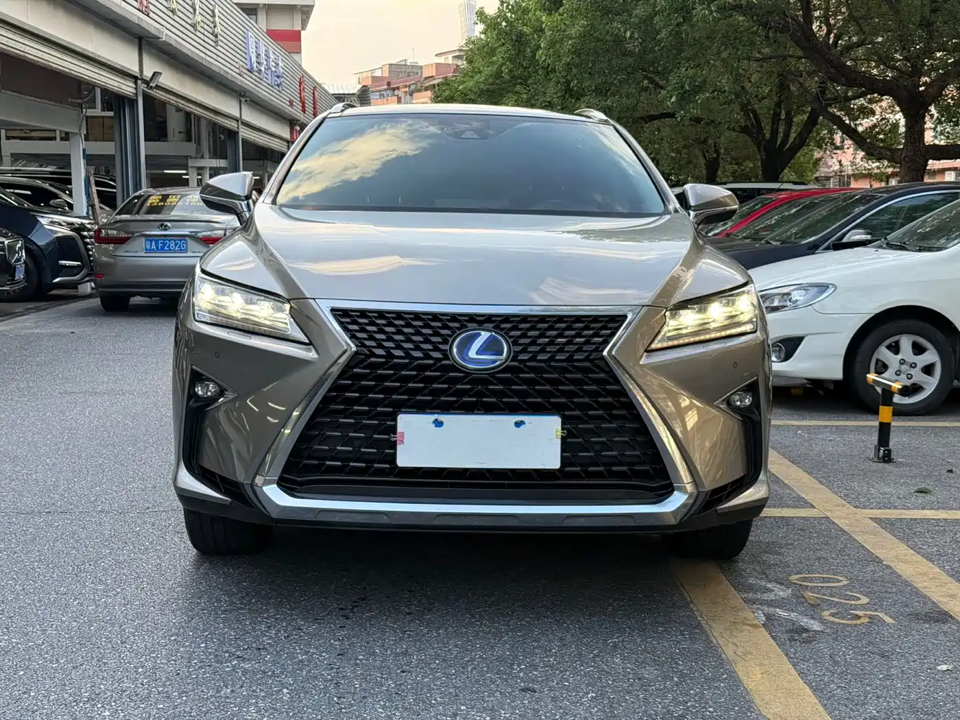 Lexus RX 2016 450h 4WD Luxury Edition фото 4