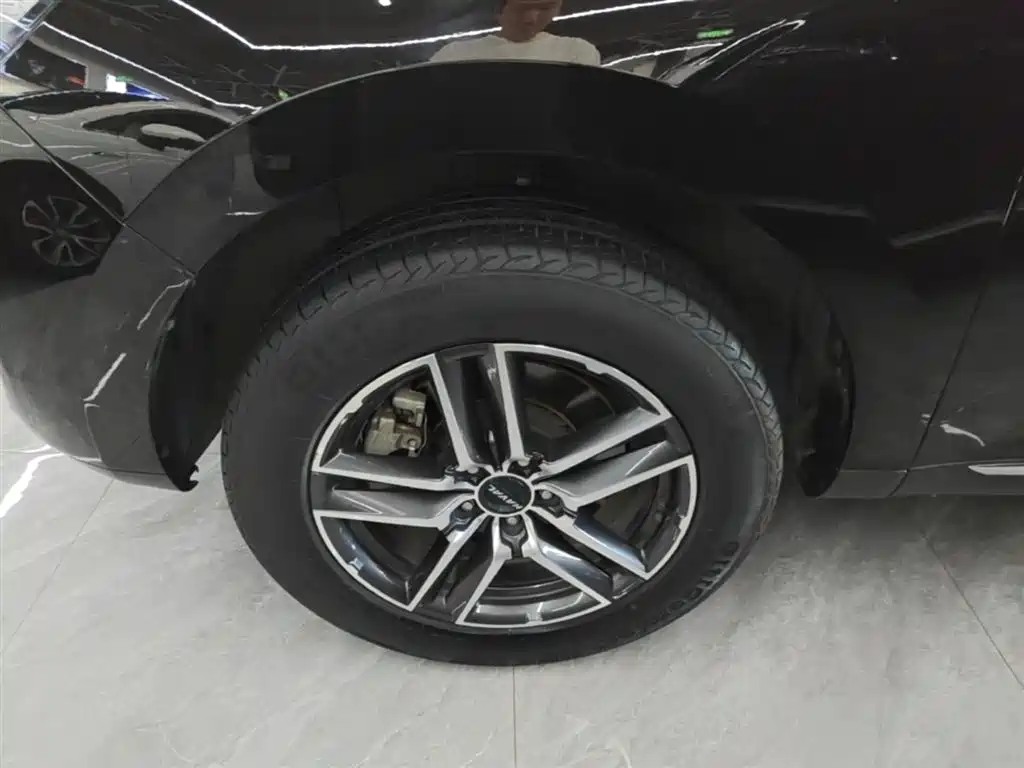 Haval F5 2019 National Trend Edition 1.5T iStyle China VI фото 23
