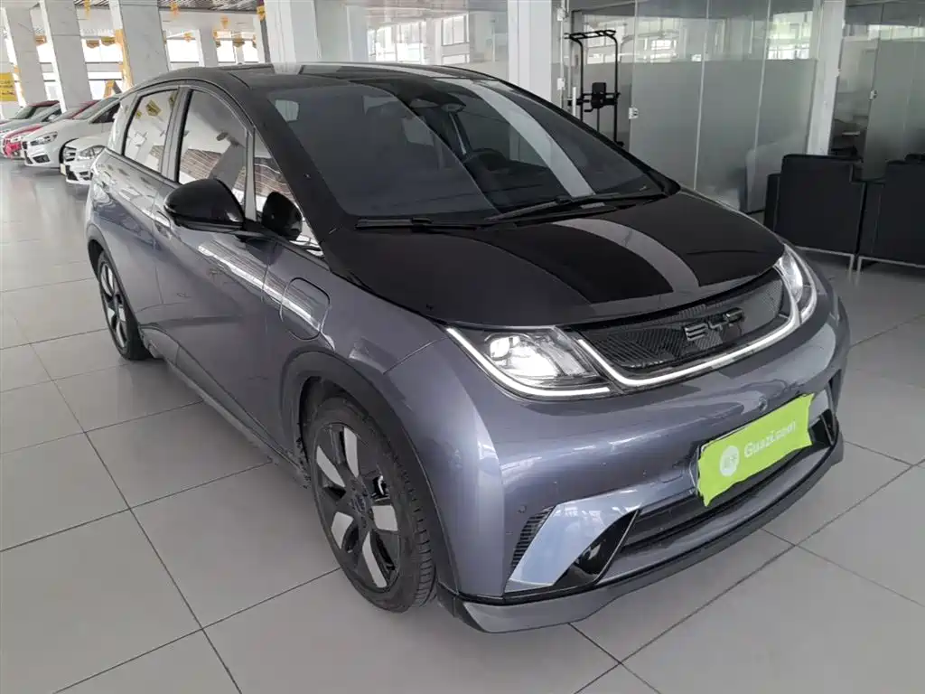 BYD Dolphin 2023 401km Knight Edition фото 22