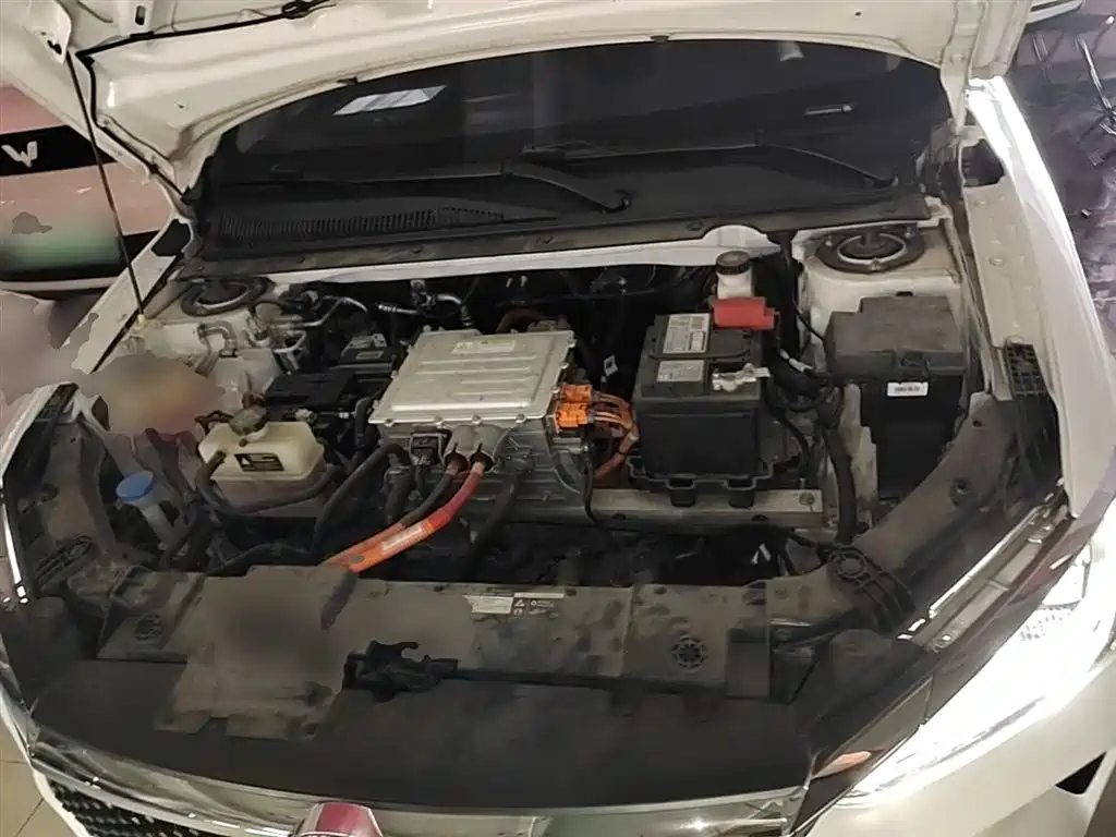 BYD e2 2021 Luxury Edition фото 20