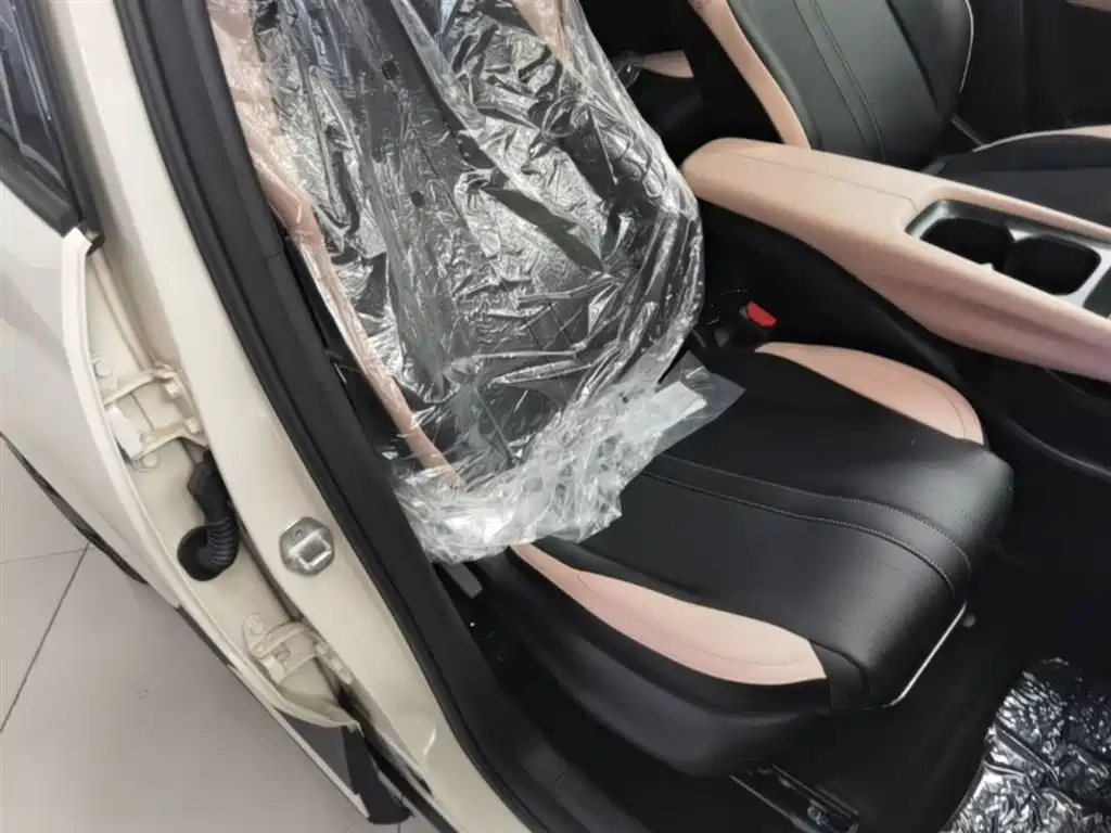 BYD Seagull 2025 Smart Drive Edition 305km Vitality Version фото 25