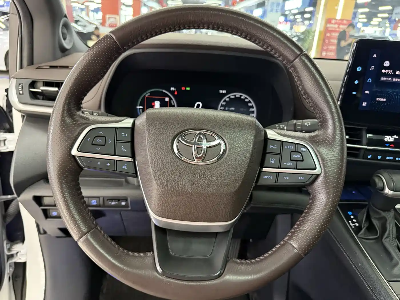 Toyota Sienna 2021 2.5L Hybrid Platinum Edition фото 13