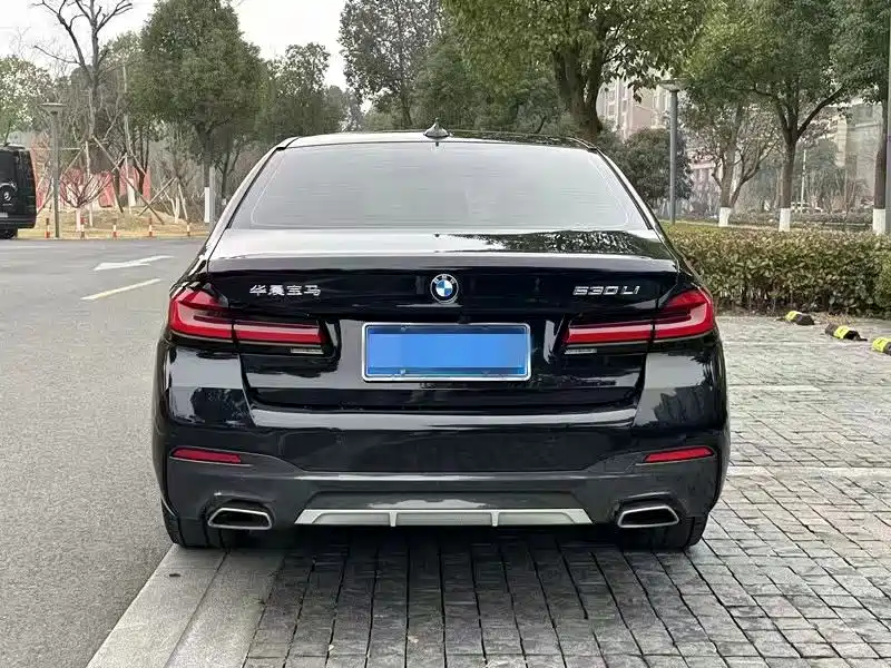 BMW 5 Series 2021 530Li Leading M Sport Package фото 8