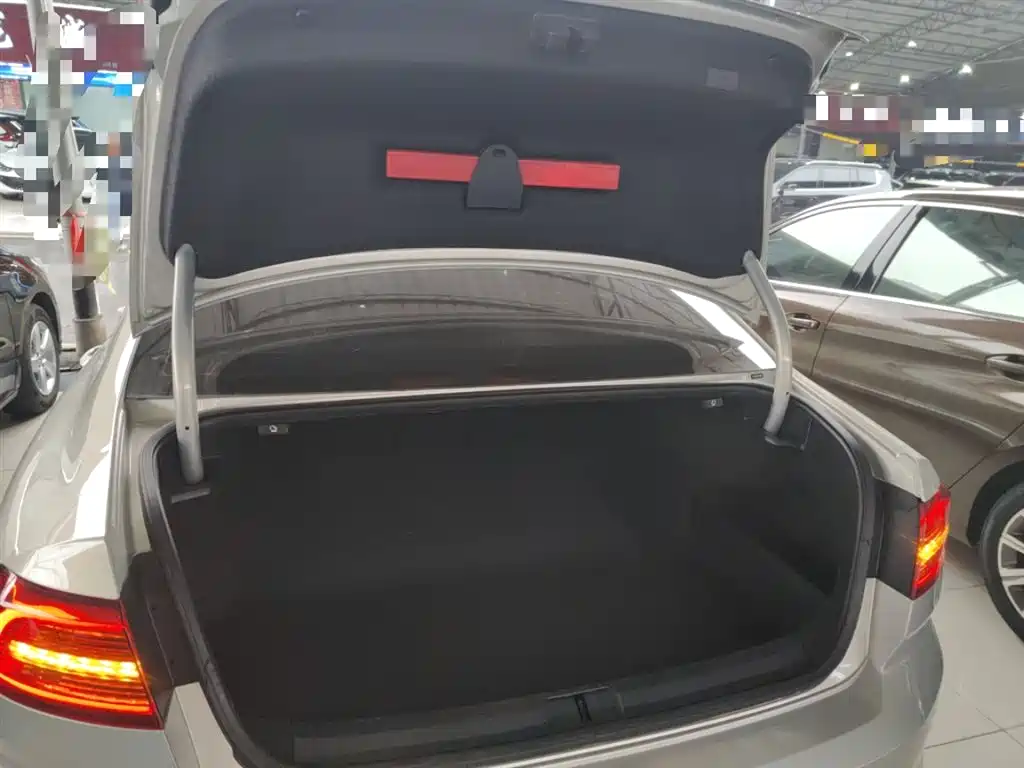 Volkswagen Magotan 2019 330TSI DSG Luxury Class China VI фото 19