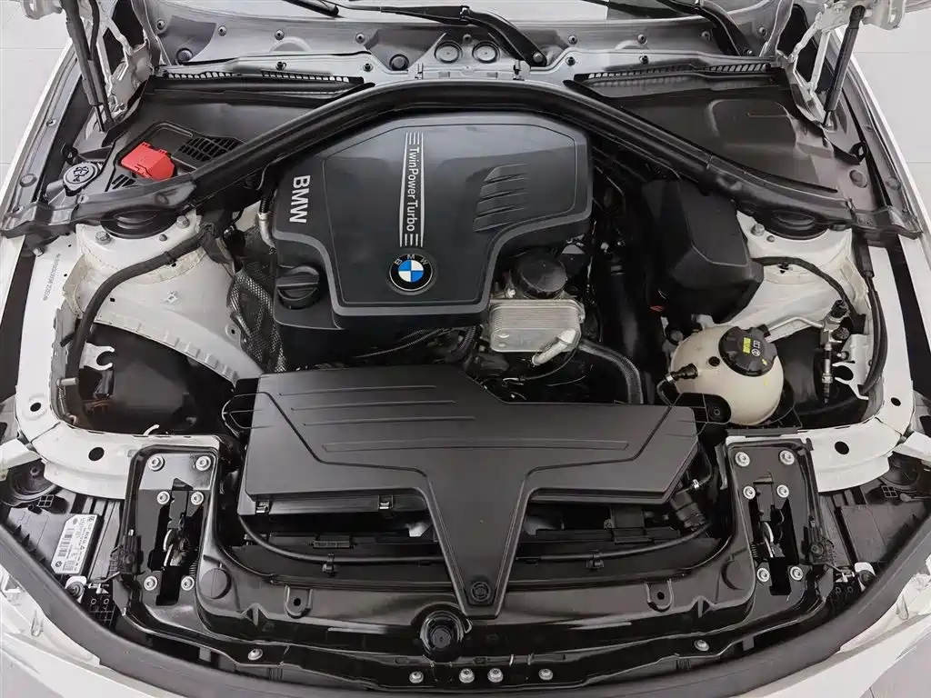 BMW 3 Series 2016 320i Fashion Model фото 6