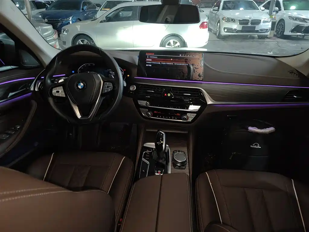 BMW 5 Series 2023 530Li Leading Luxury Package фото 10