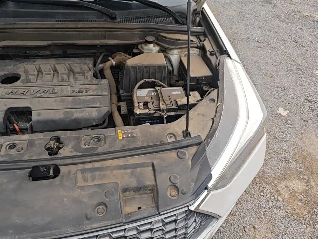 Haval H6 Coupe 2020 Smart Connect Edition 1.5T Automatic 2WD Elite фото 24