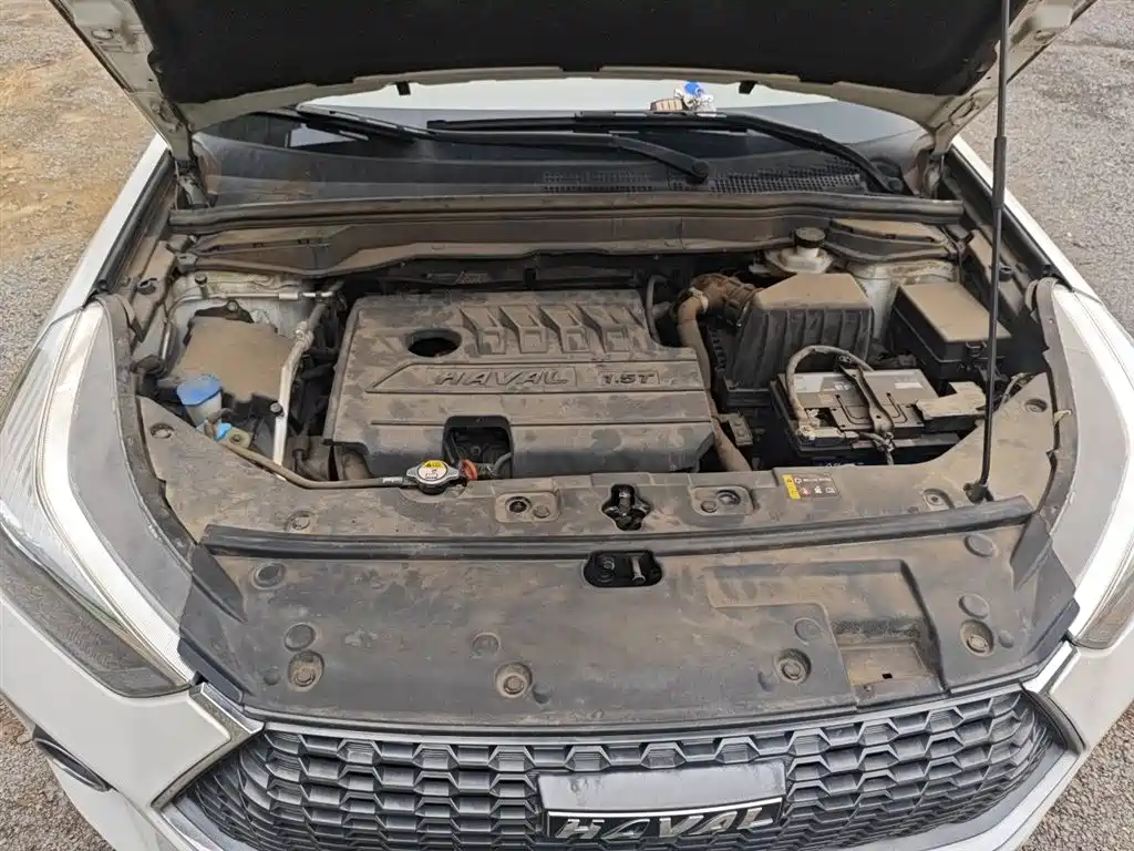 Haval H6 Coupe 2020 Smart Connect Edition 1.5T Automatic 2WD Elite фото 17