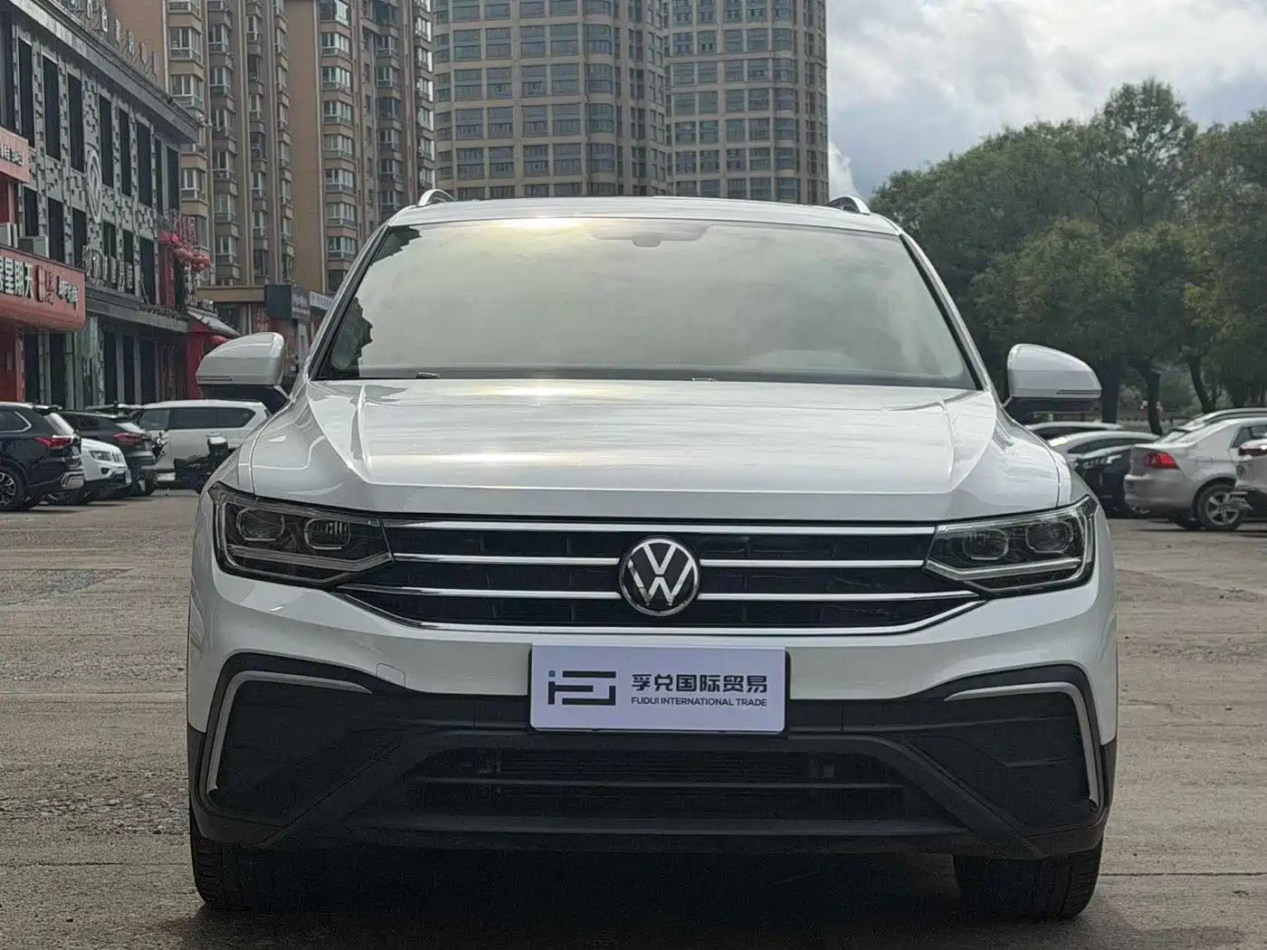 Volkswagen Tiguan L 2023 280TSI 2WD Trend Limited Edition фото 2