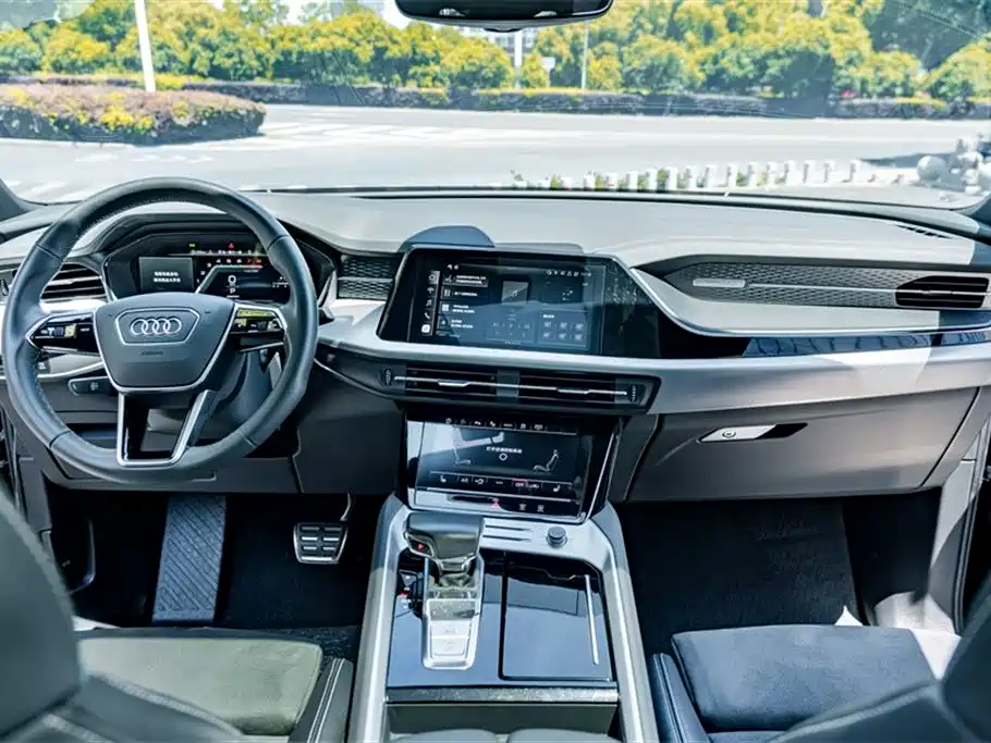 Audi Q6 2023 45 TFSI quattro Uniform Clouds Flying Rider Package фото 13