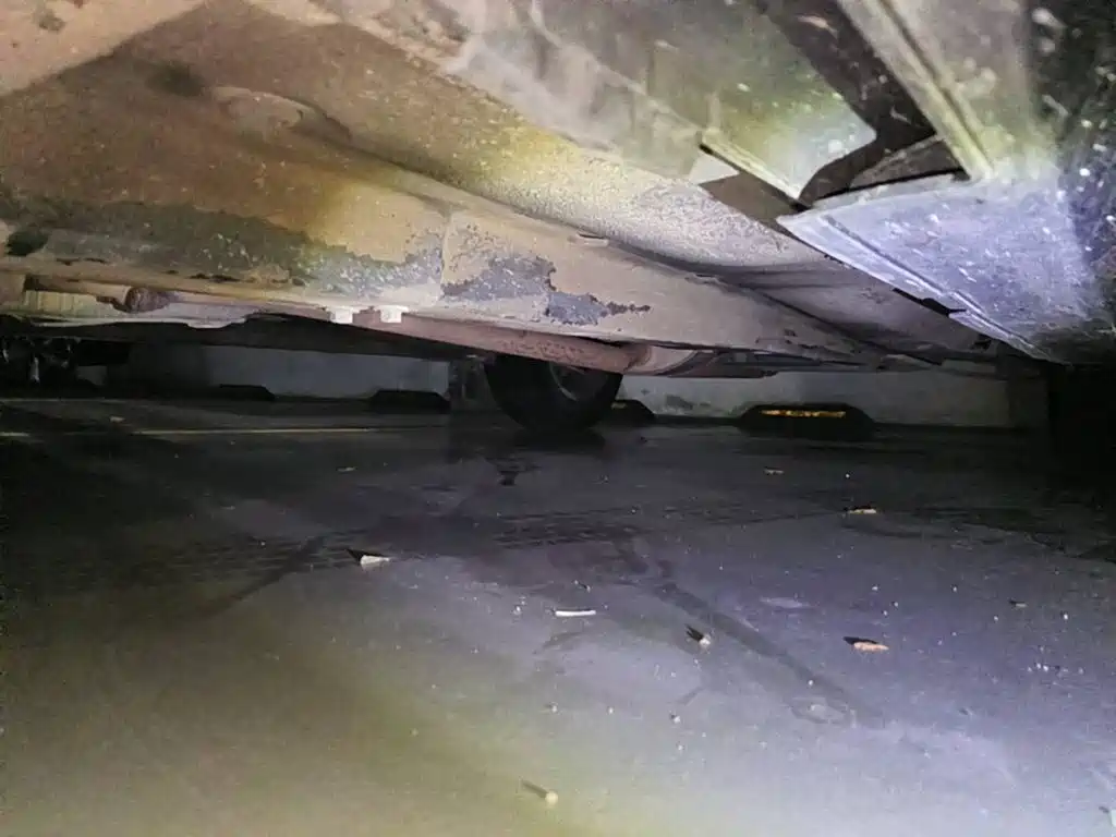 Honda Accord 2006 2006 2.4L Standard