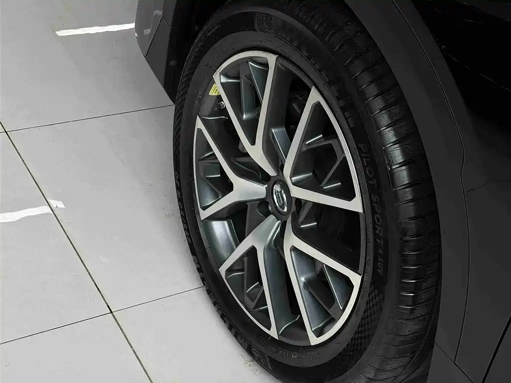 GAC Trumpchi Trumpchi GS8 2025 Pilot Series 2.0TGDI 2WD Luxury Edition 5-seater фото 32