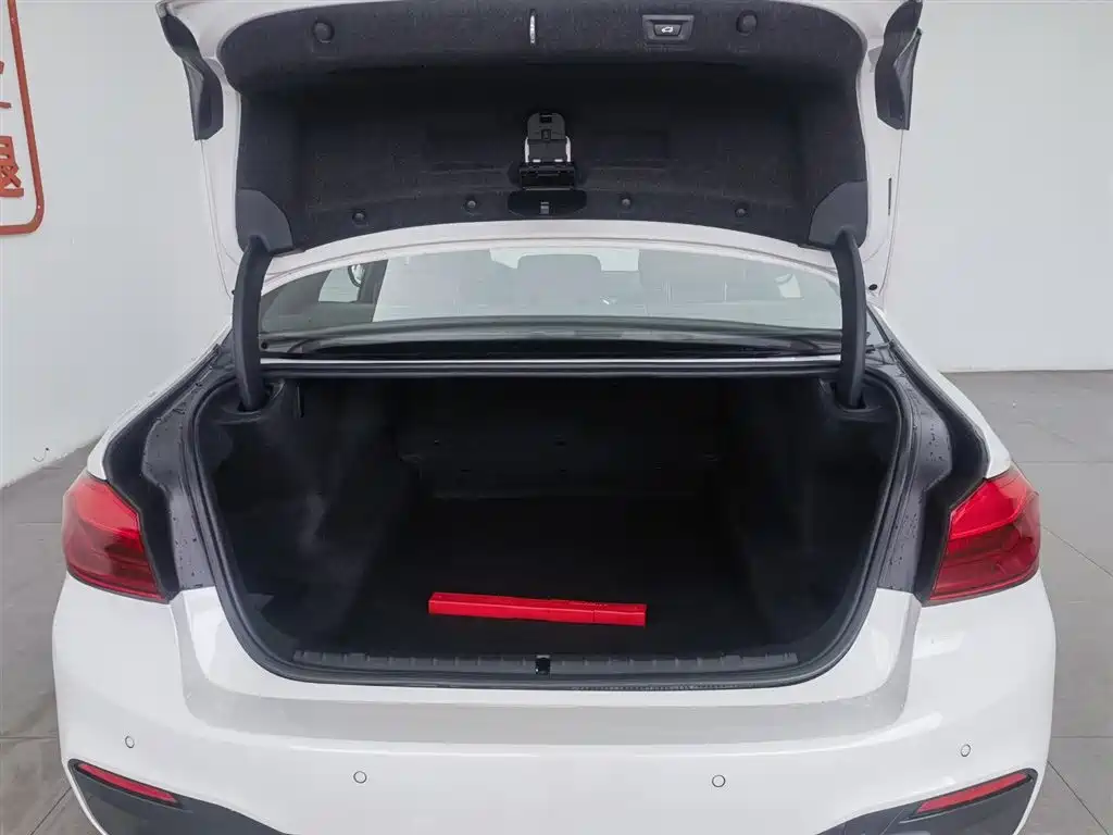 BMW 5 Series 2020 530Li Leading M Sport Package фото 16