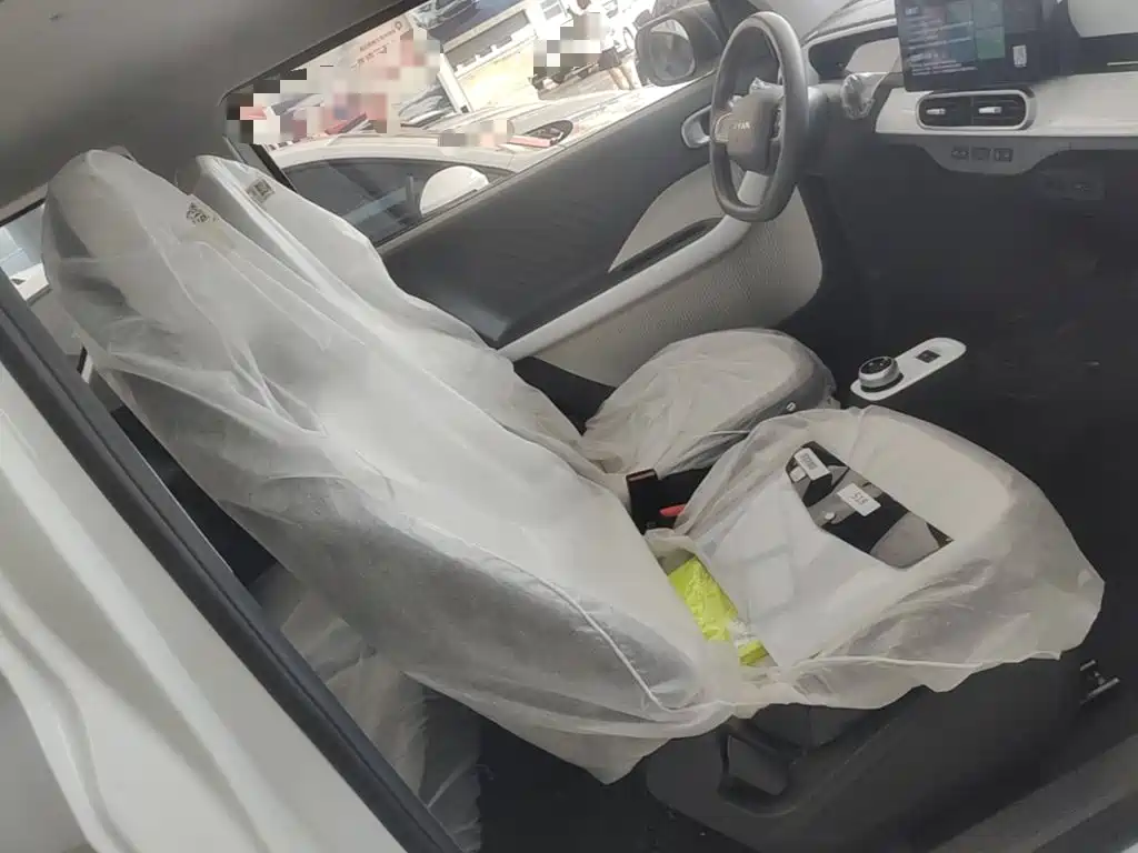Ruilan Auto Ruilan Blue Elf 2026 2025 Base Model