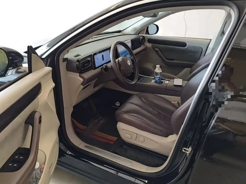 Leapmotor C11 2022 2021 Luxury Edition
