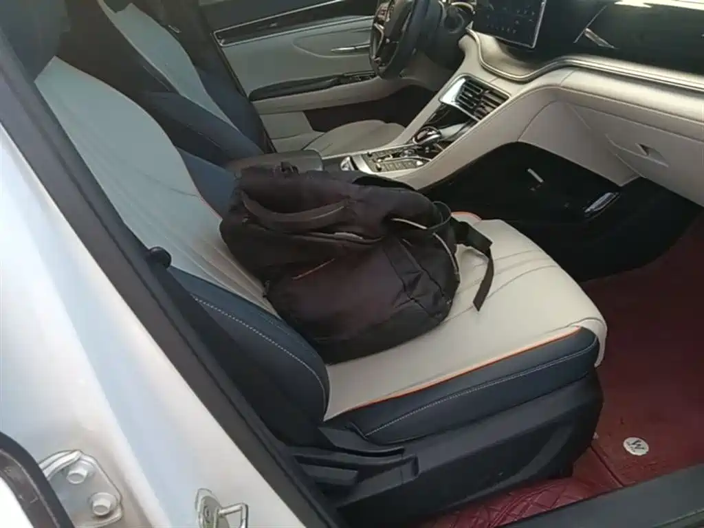 BYD Song PLUS PHEV 2021 DM-i 110KM Flagship фото 25