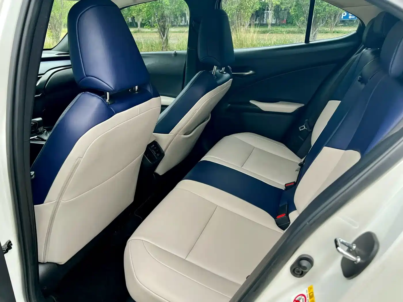 Lexus UX 2019 260h Explorer Cool Edition (China V) фото 6