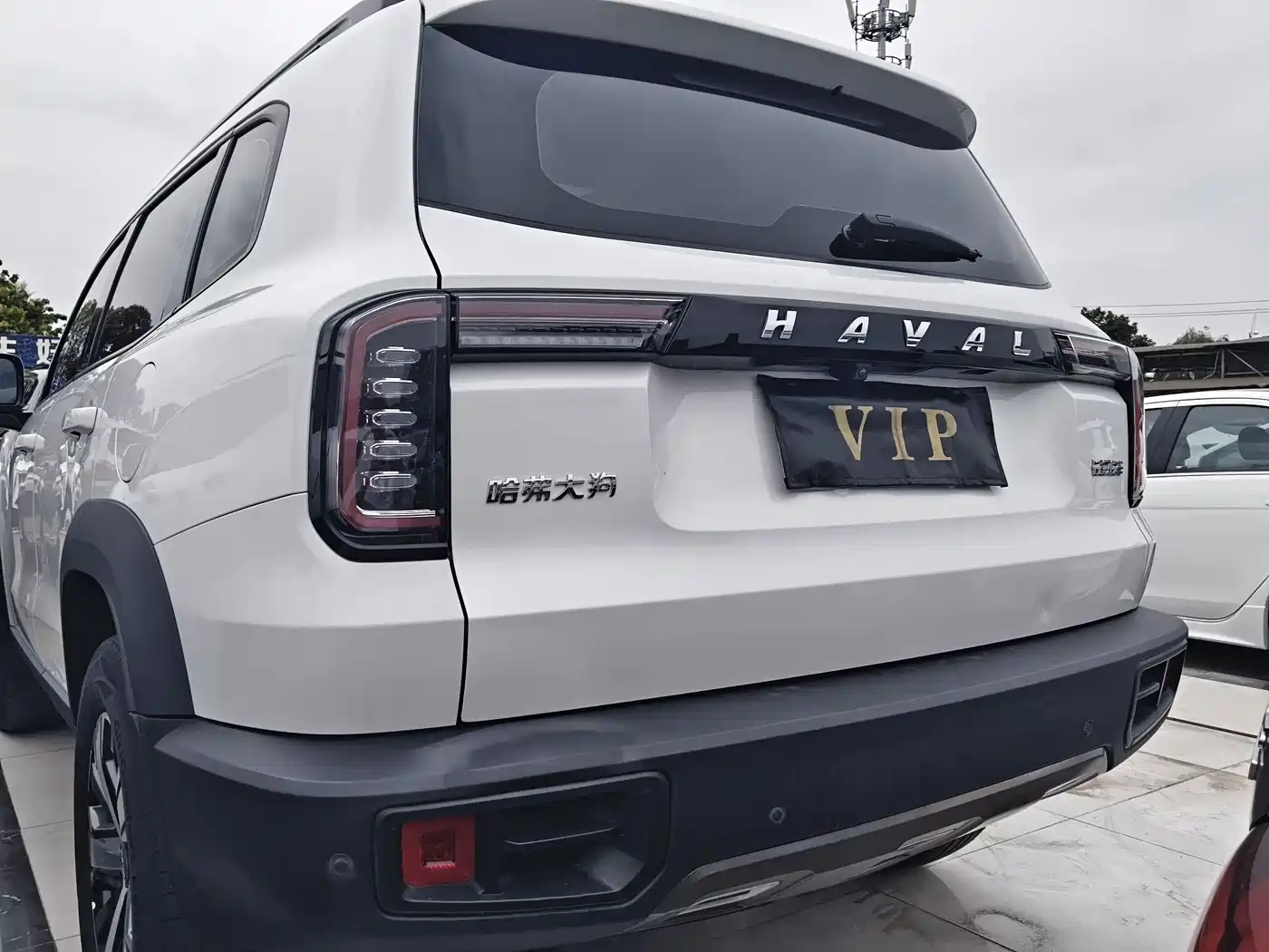 Haval Big Dog 2021 1.5T DCT 2WD Labrador Edition фото 14