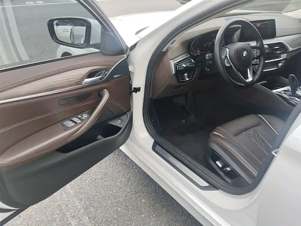 BMW 5 Series 2020 530Li xDrive Luxury Package фото 23