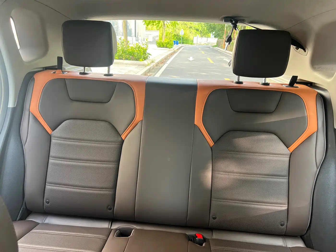 BYD e2 2021 2020 Upgraded Long Range Luxury