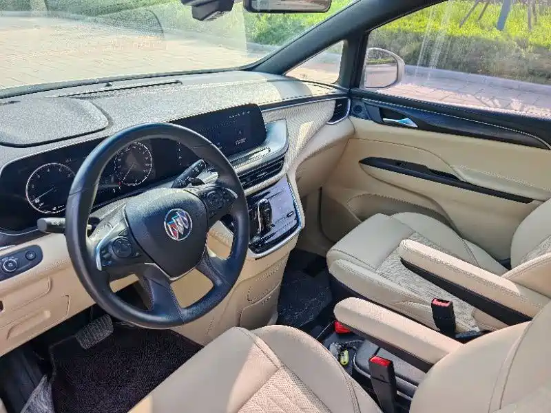Buick GL8 2022 ES Landmark 653T Luxury фото 7