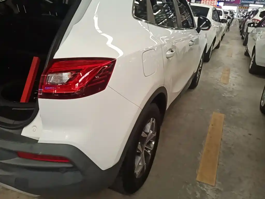 Borgward BX5 2021 2020 20TGDI Automatic 2WD Pioneer Edition