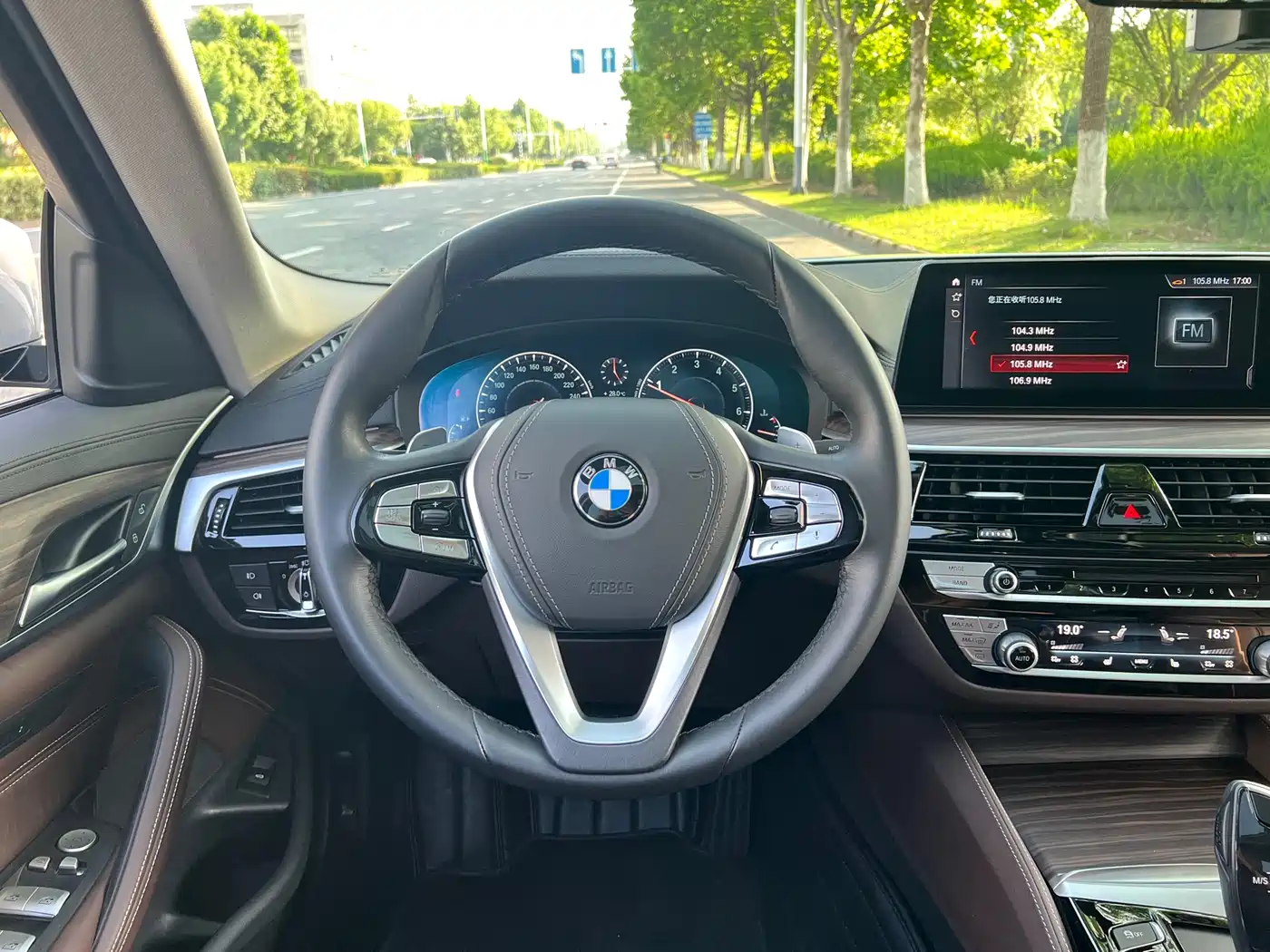 BMW 5 Series 2019 530Li Leading Luxury Package фото 11