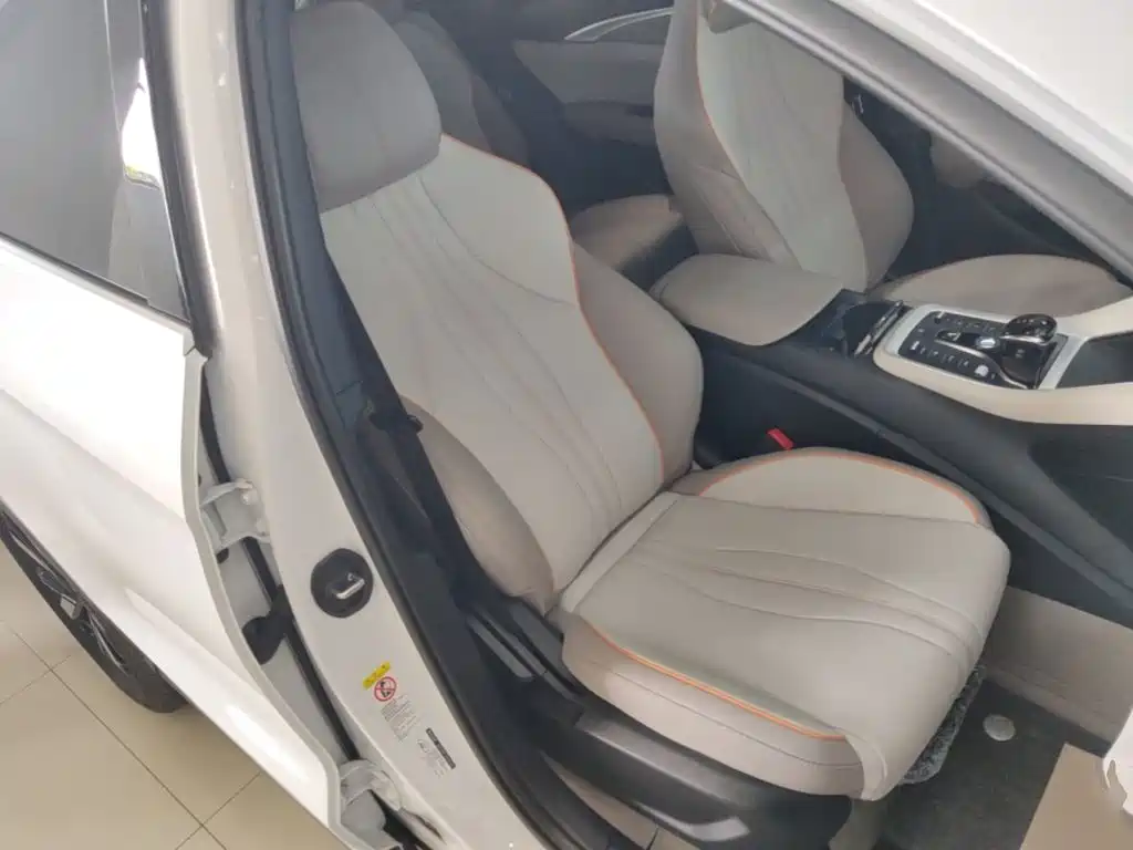 BYD Song Pro New Energy 2025 2024 Glory Edition DM-i 71KM Pilot