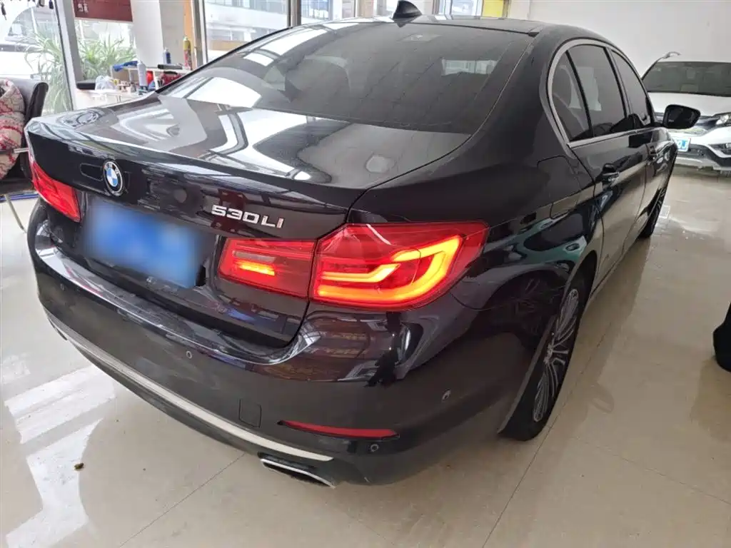 BMW 5 Series 2018 530Li Exclusive Luxury Package фото 7