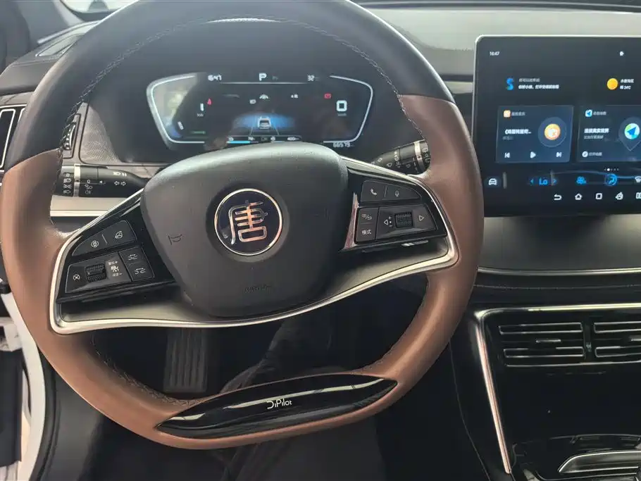 BYD Tang New Energy 2021 DM-i 112KM Premium фото 15