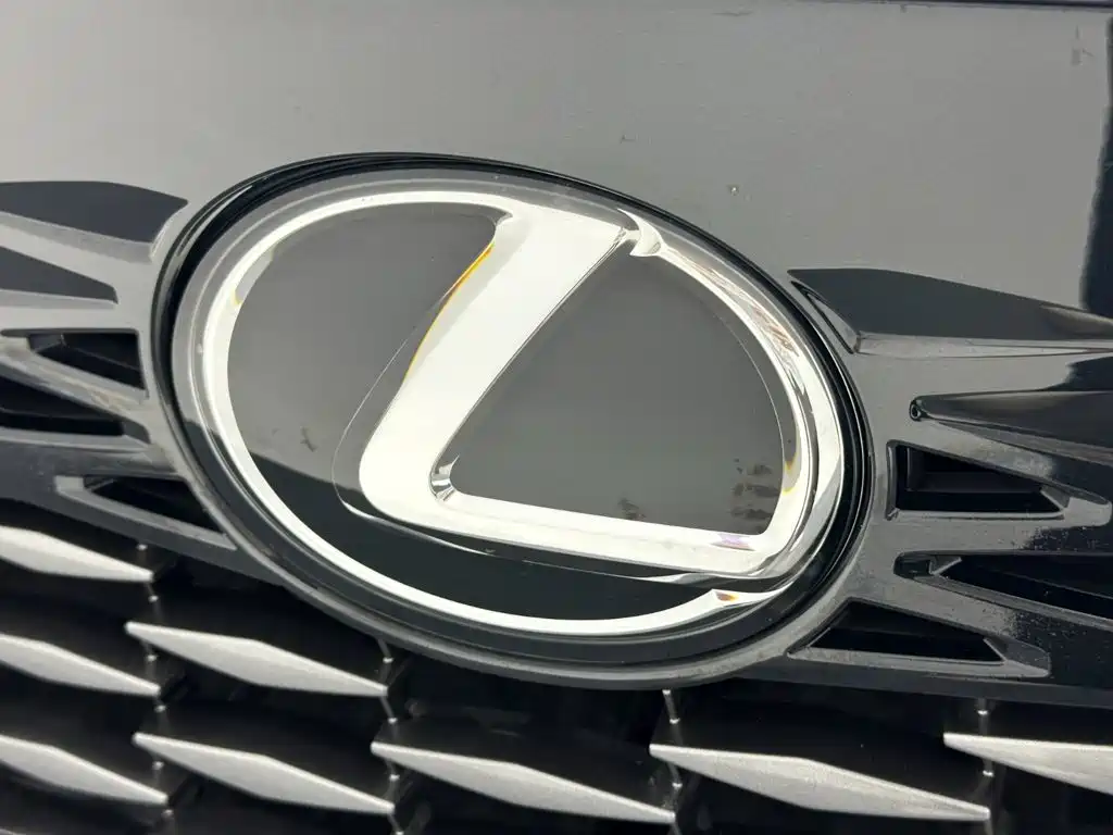 Lexus RX 2025 2025 300 4WD Premium Edition