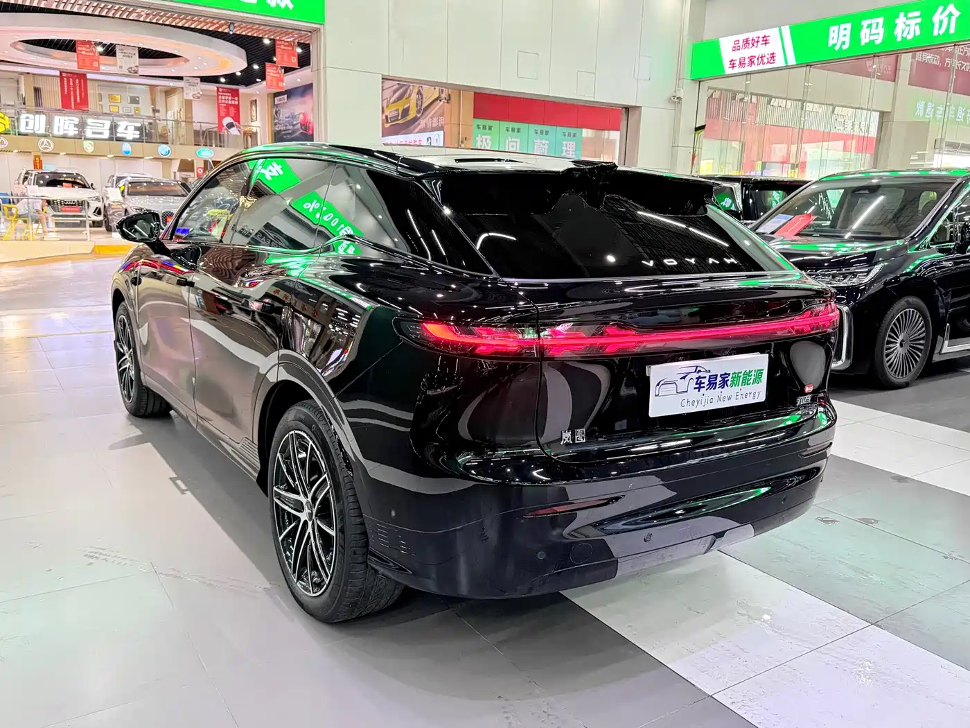Voyah Auto Voyah Zhiyin 2025 Base фото 3