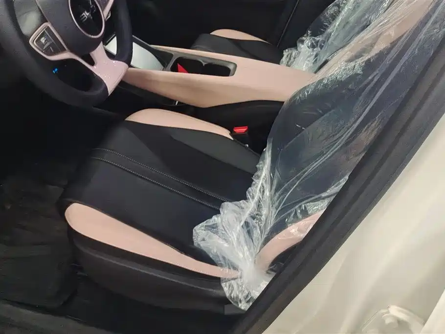 BYD Seagull 2025 Smart Drive Edition 305km Vitality Version фото 9