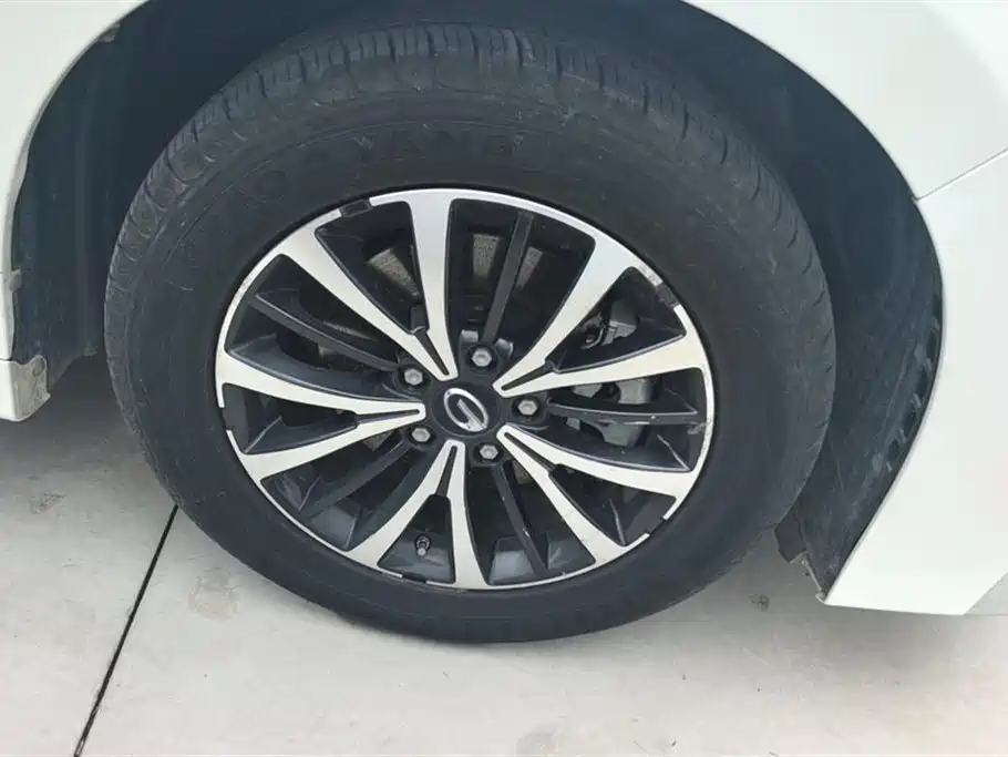 GAC Trumpchi Trumpchi M8 2021 Leading Show Series 390T Premium Edition фото 6
