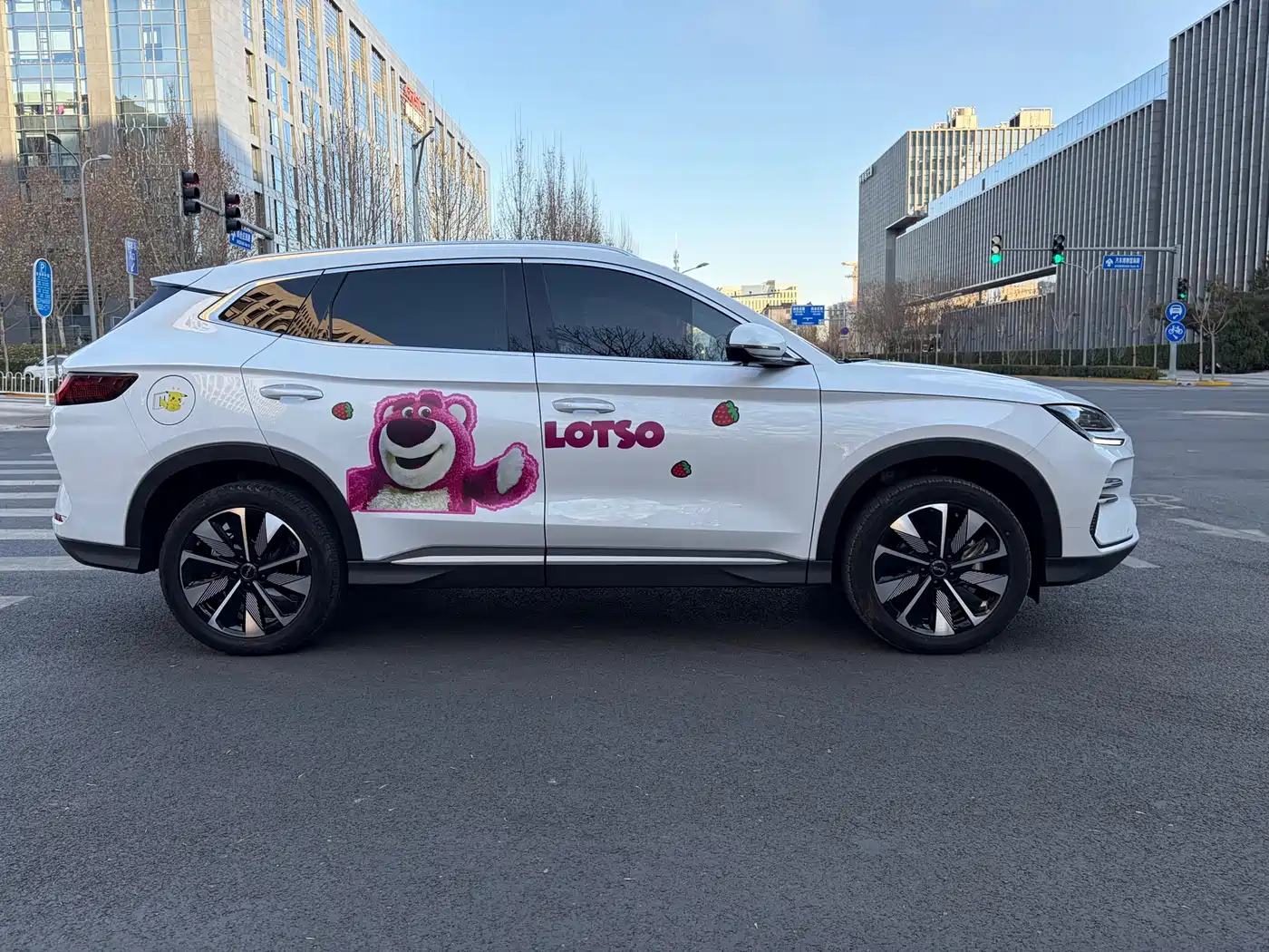 BYD SONGJIANG NEW ENERGY