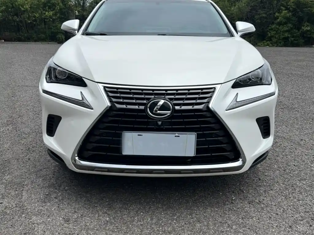 Фото 7 - Lexus NX