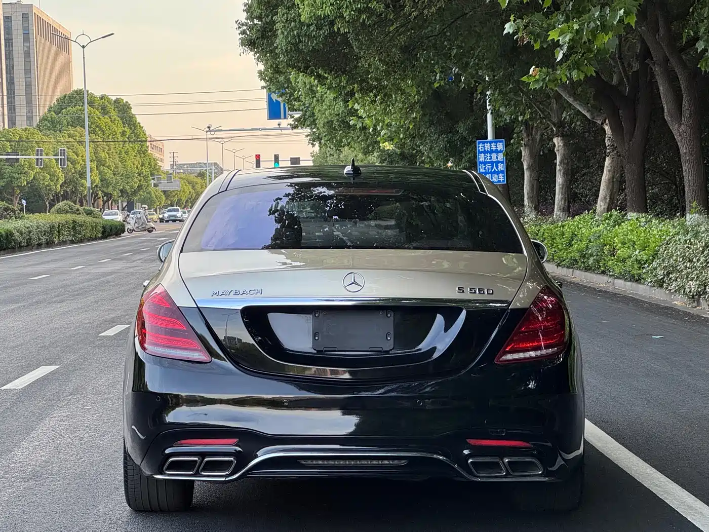 Mercedes-Benz S-Class 2014 S 500 L 4MATIC фото 5