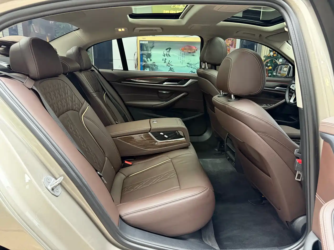 BMW 5 Series 2020 530Li xDrive Luxury Package фото 29