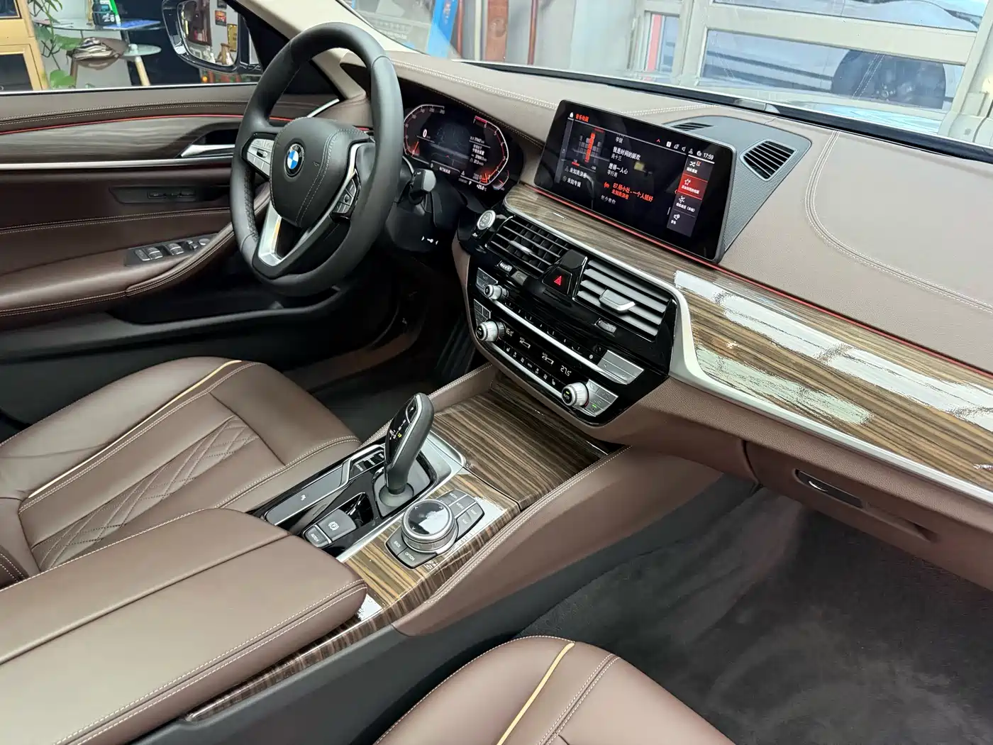 BMW 5 Series 2020 530Li xDrive Luxury Package фото 43