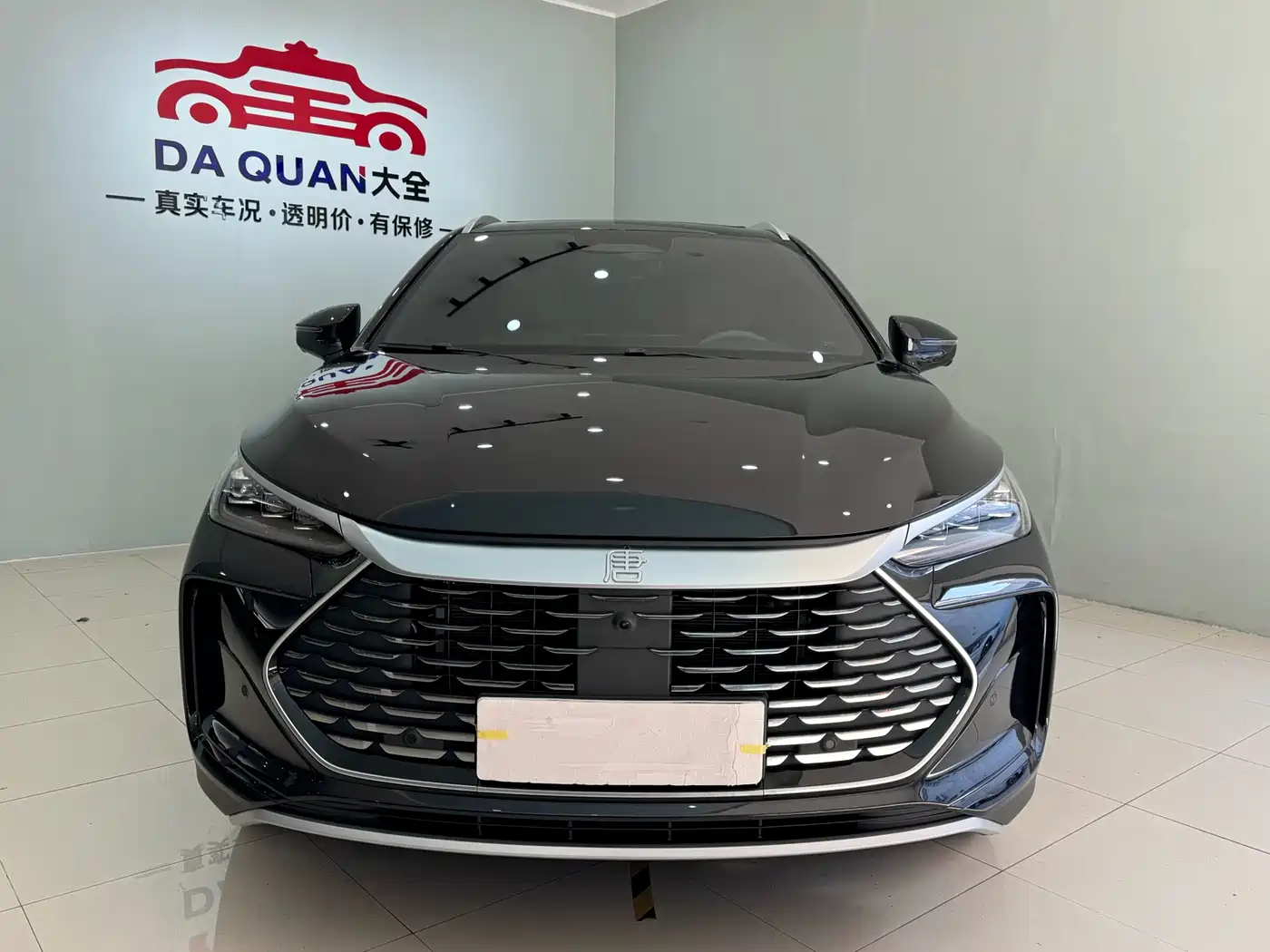 BYD Tang New Energy 2025 DM-i 115KM Flagship фото 2