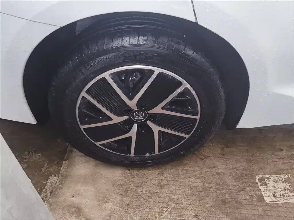 BYD Qin L 2024 DM-i 80KM Superior фото 16