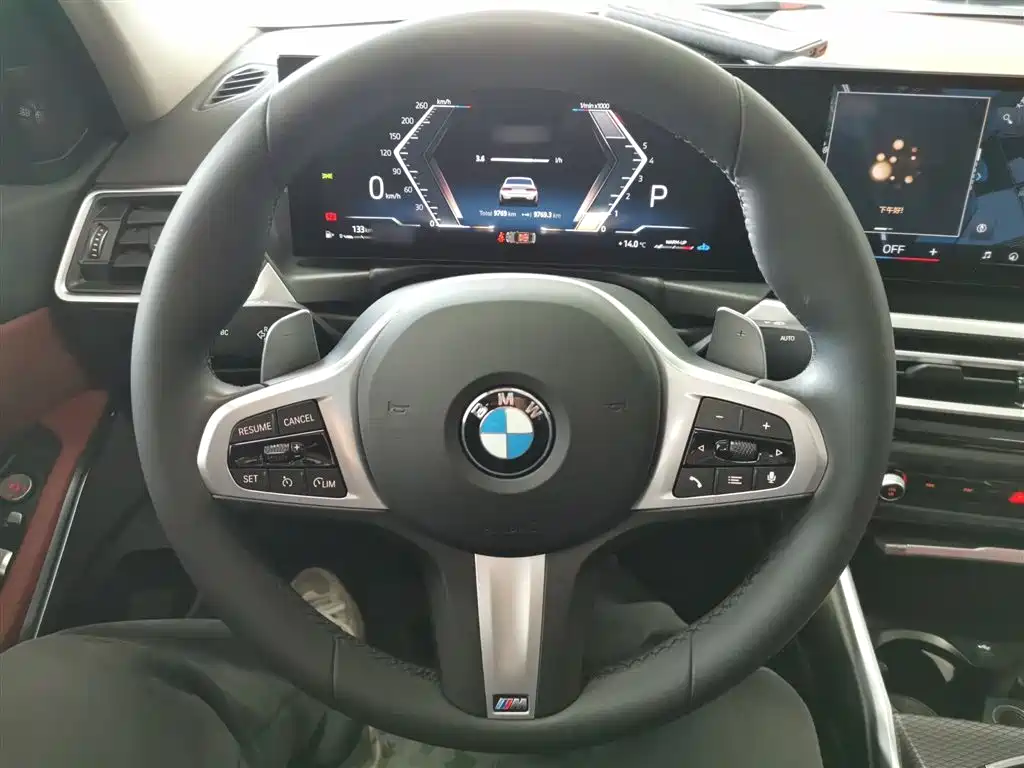 BMW 3 Series 2024 325Li M Sport Shadowline Package фото 7